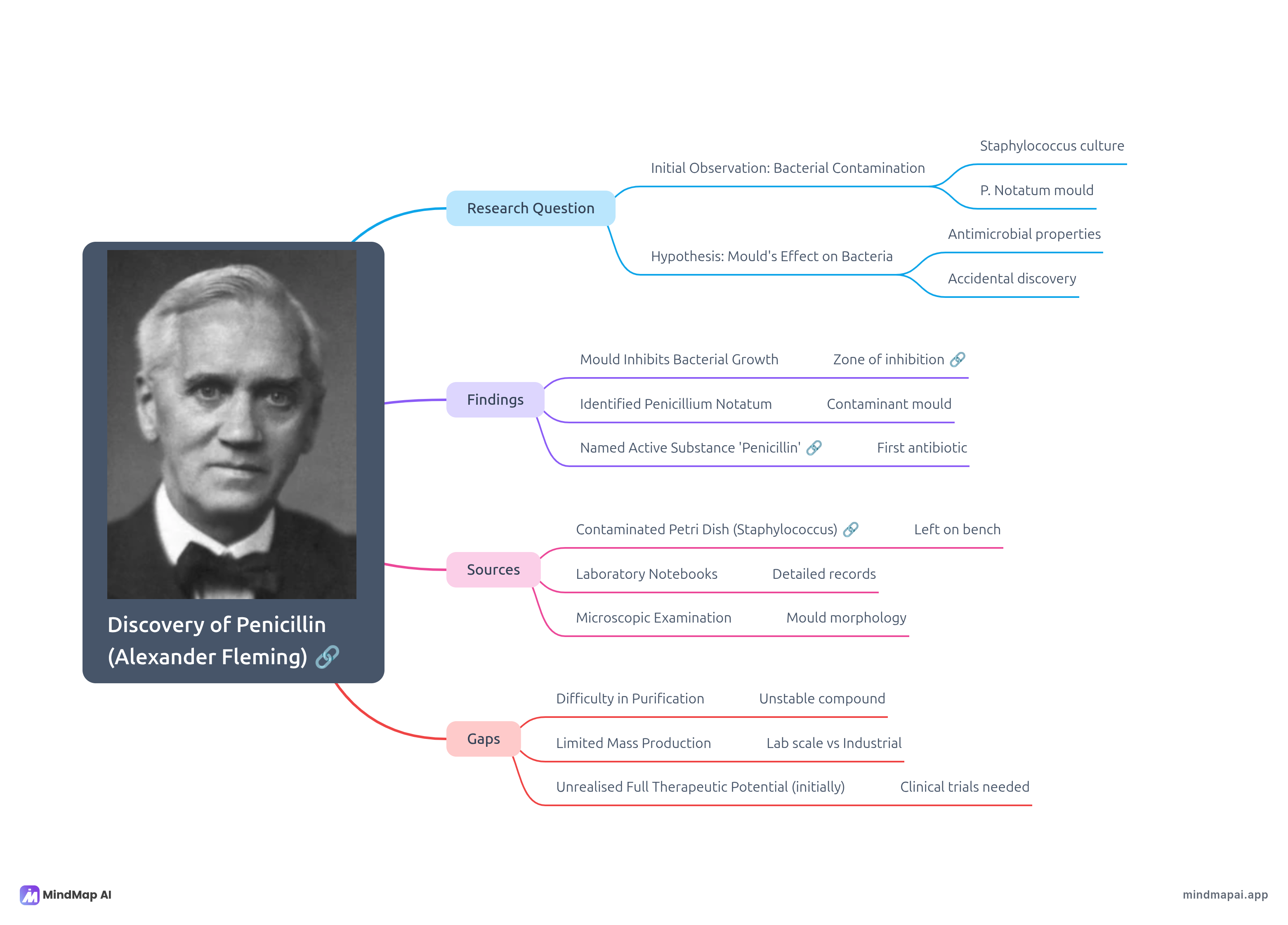 Research project mind map example