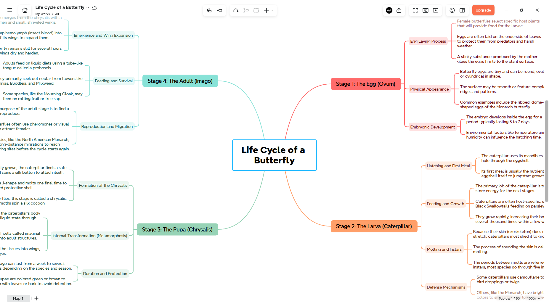 Xmind native desktop app showing a structured mind map