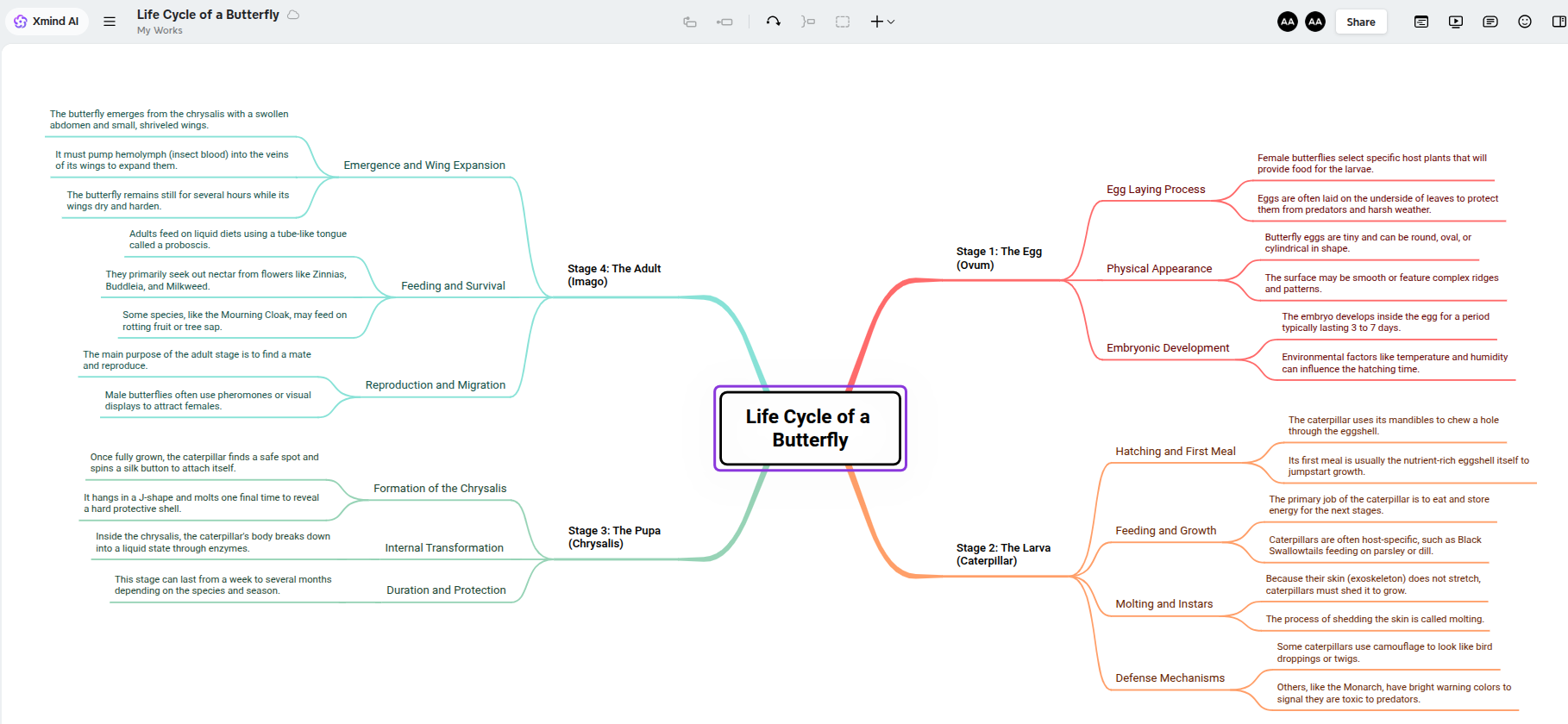 Xmind interface