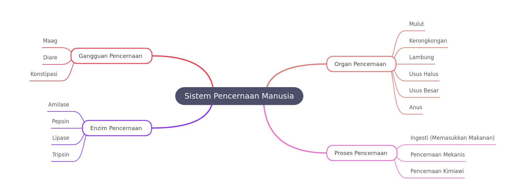 Human Digestive System: Organs, Processes, Enzymes, Disorders