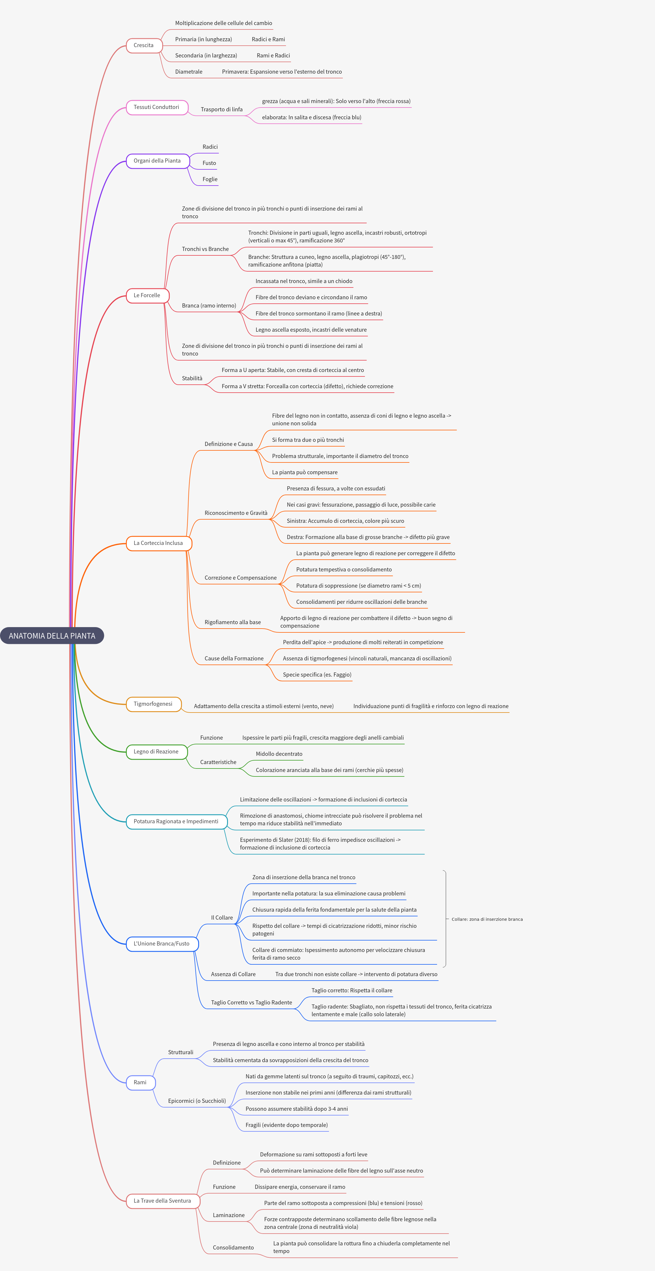 Plant Anatomy: Growth, Structure, and Health