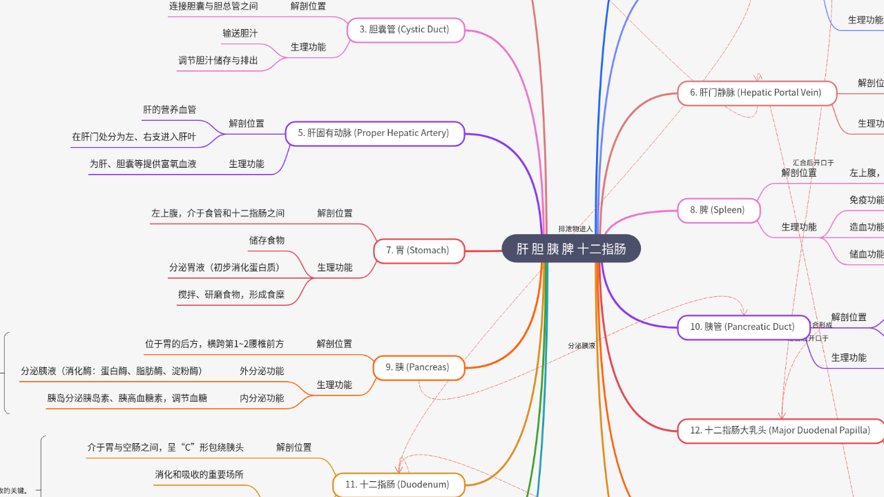 肝 胆 胰 脾 十二指肠