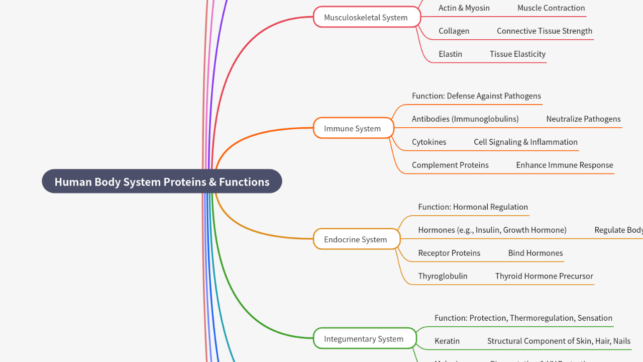 Mind Map:Human Body System Proteins & Functions ...