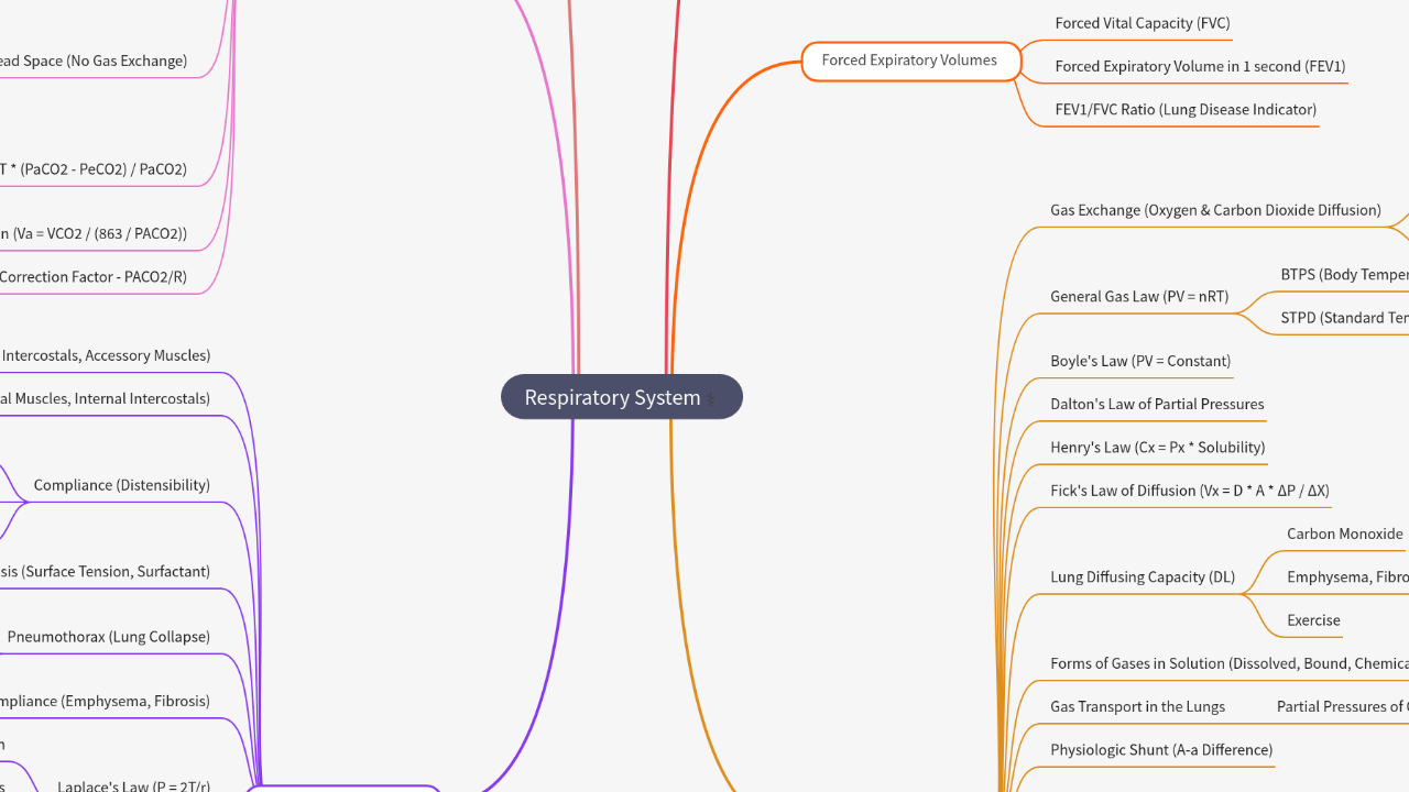 Mind Map:Respiratory System ...