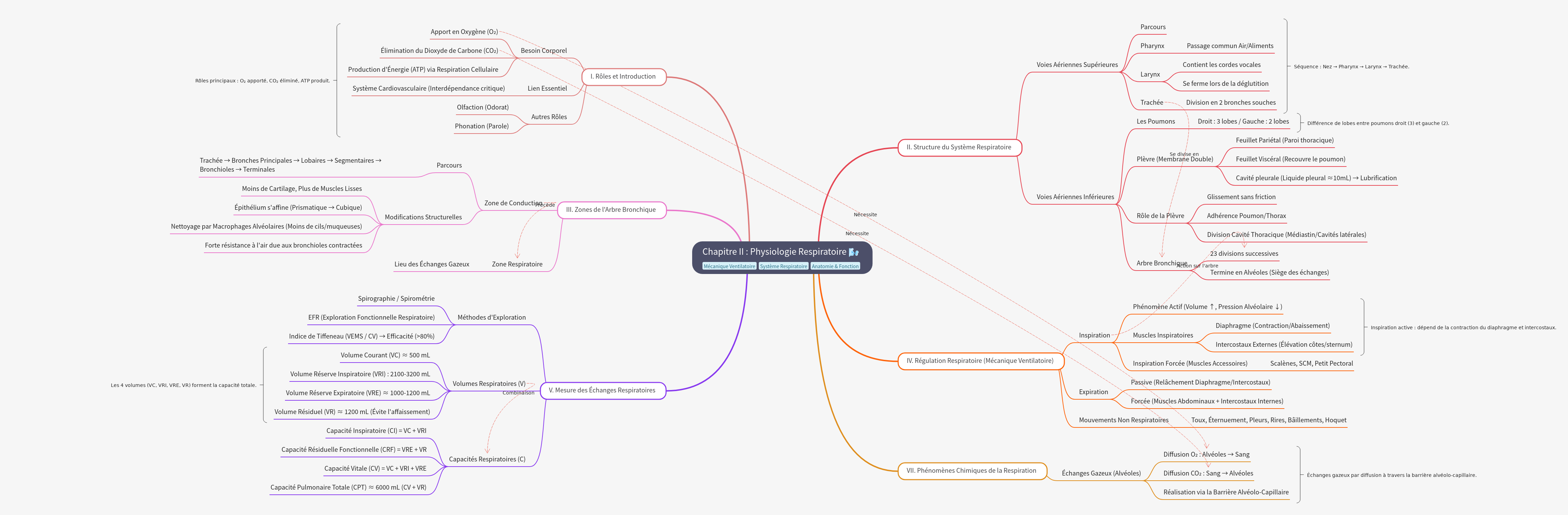 Physiologie Respiratoire: Rôles, Structure et Mécanique