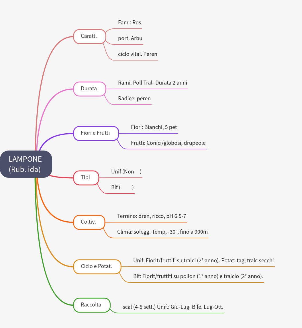 Raspberry (Rubus idaeus) Guide