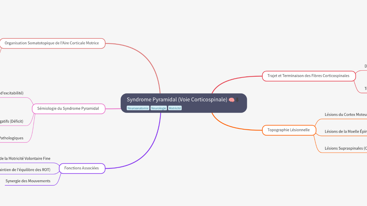 Mind Map:Syndrome Pyramidal (Voie Corticospinale) ...
