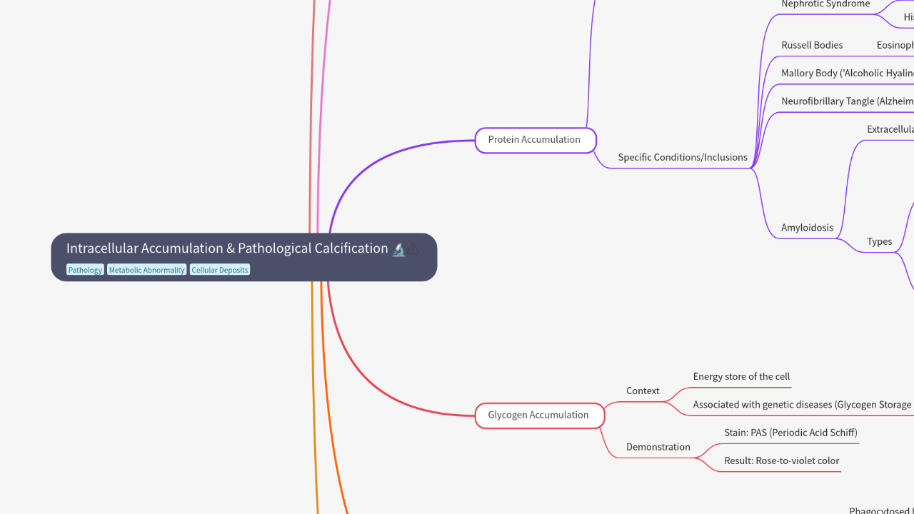 Mind Map:Intracellular Accumulation & Pathological Calcification ...