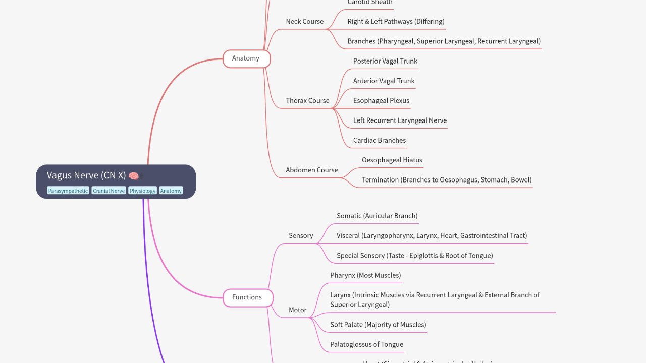 Mind Map:Vagus Nerve (CN X) ...