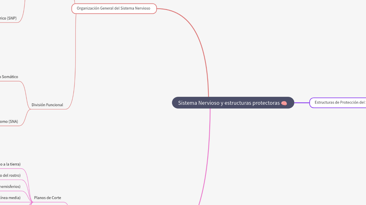 Mind Map:Sistema Nervioso y estructuras protectoras ...
