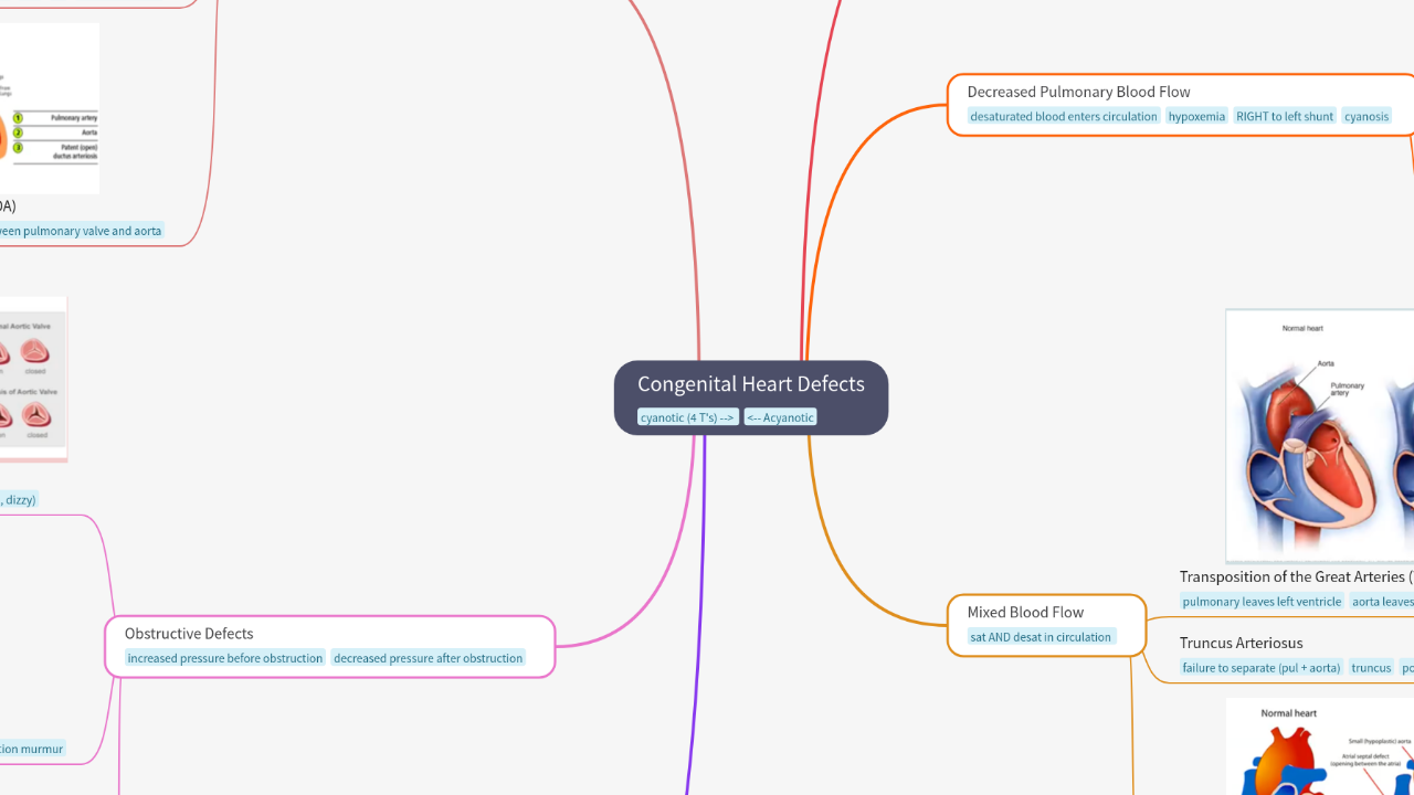 Mind Map:Congenital Heart Defects ...