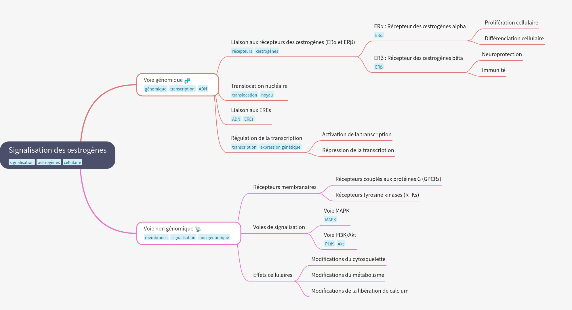 Estrogen Signaling Pathways