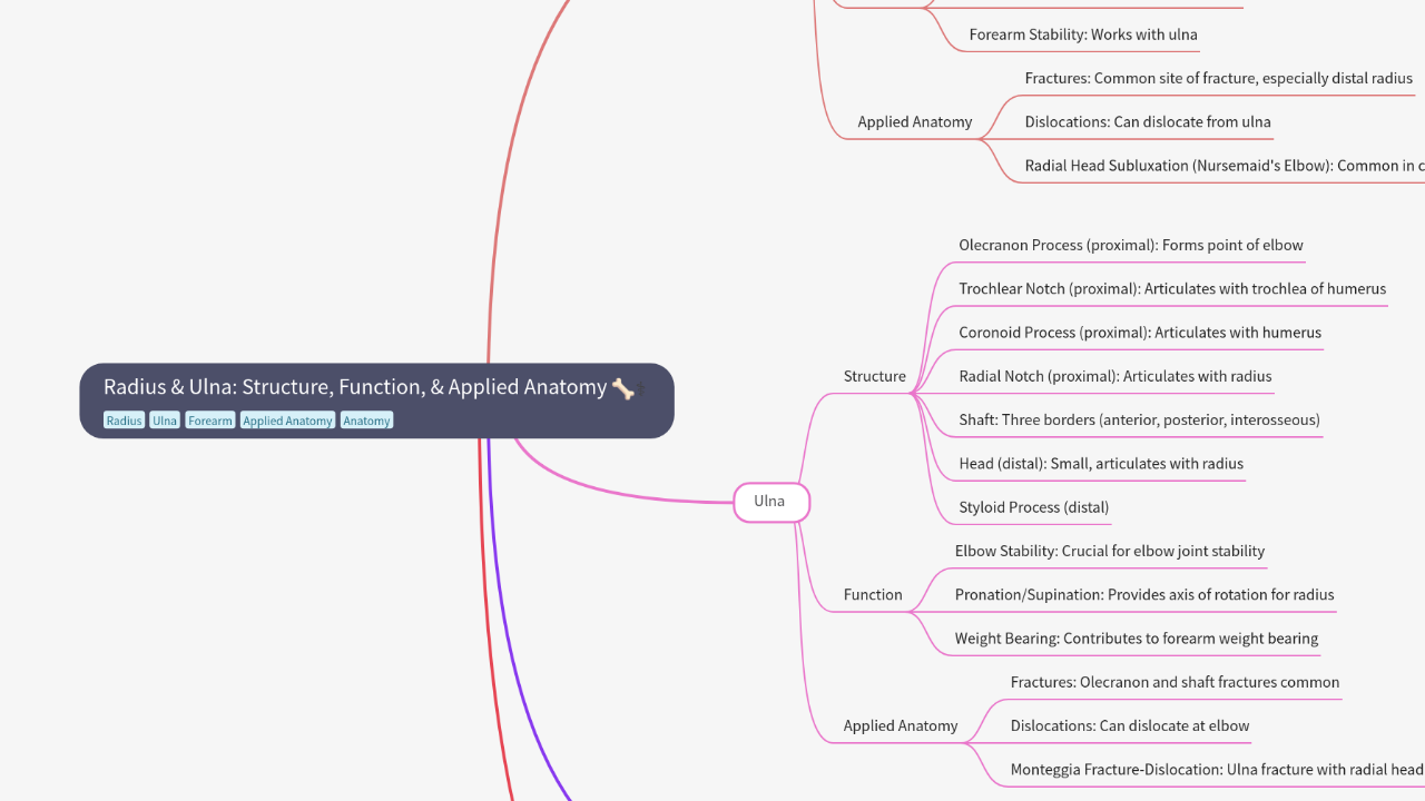 Radius & Ulna: Structure, Function, & Applied Anatomy