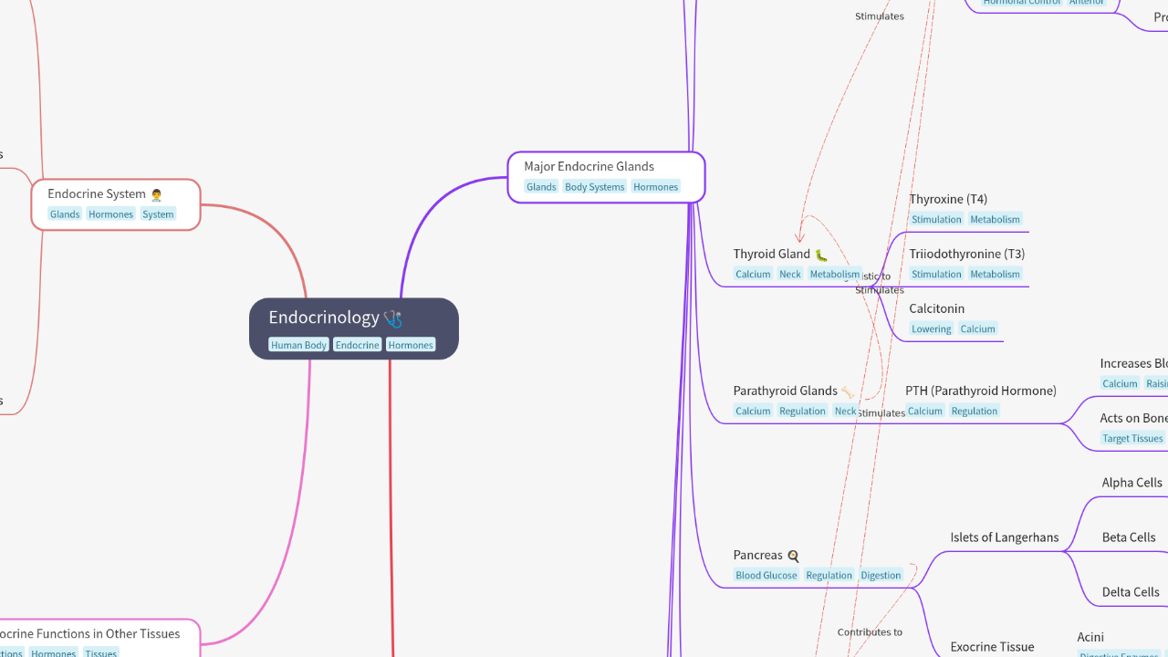 Mind Map:Endocrinology ...