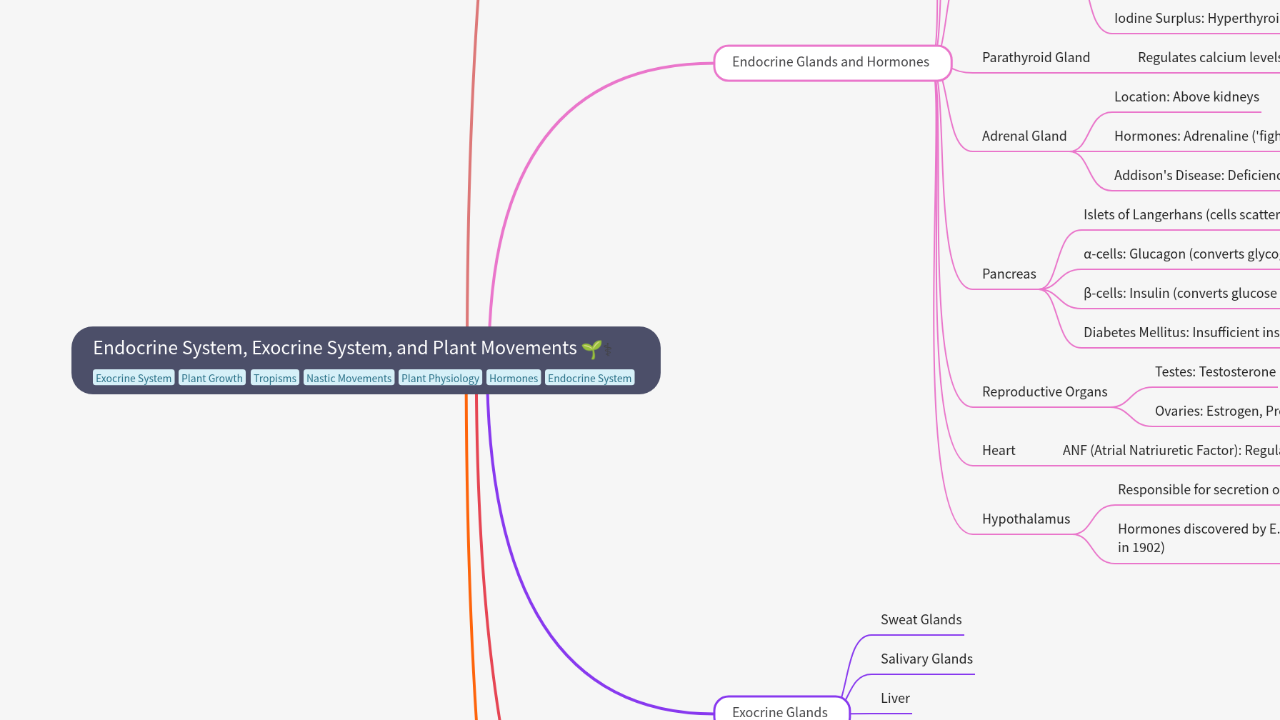 Mind Map:Endocrine System, Exocrine System, and Plant Movements ...