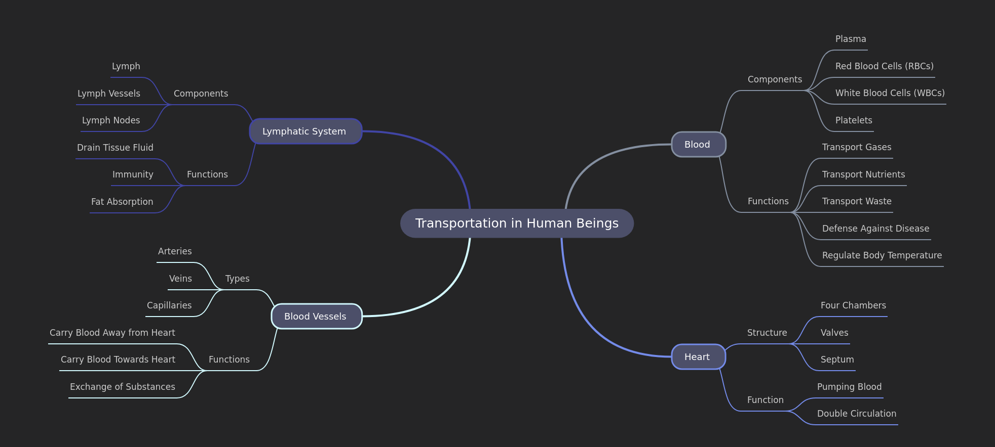 Human Transportation System Explained