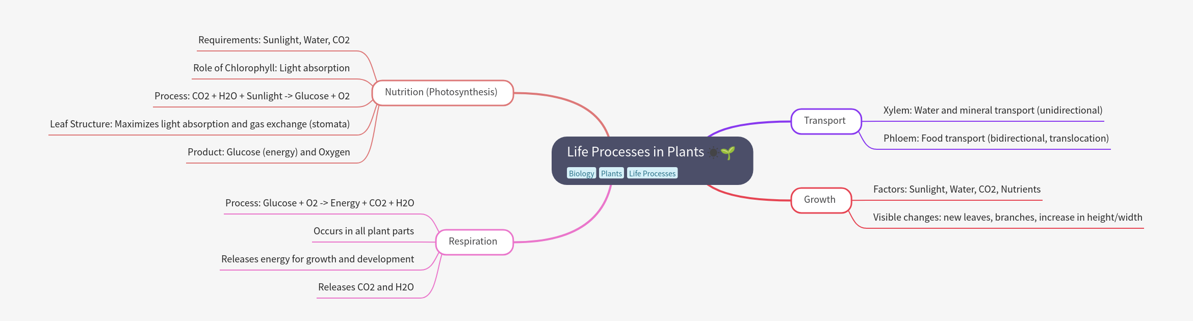 Life Processes in Plants Explained