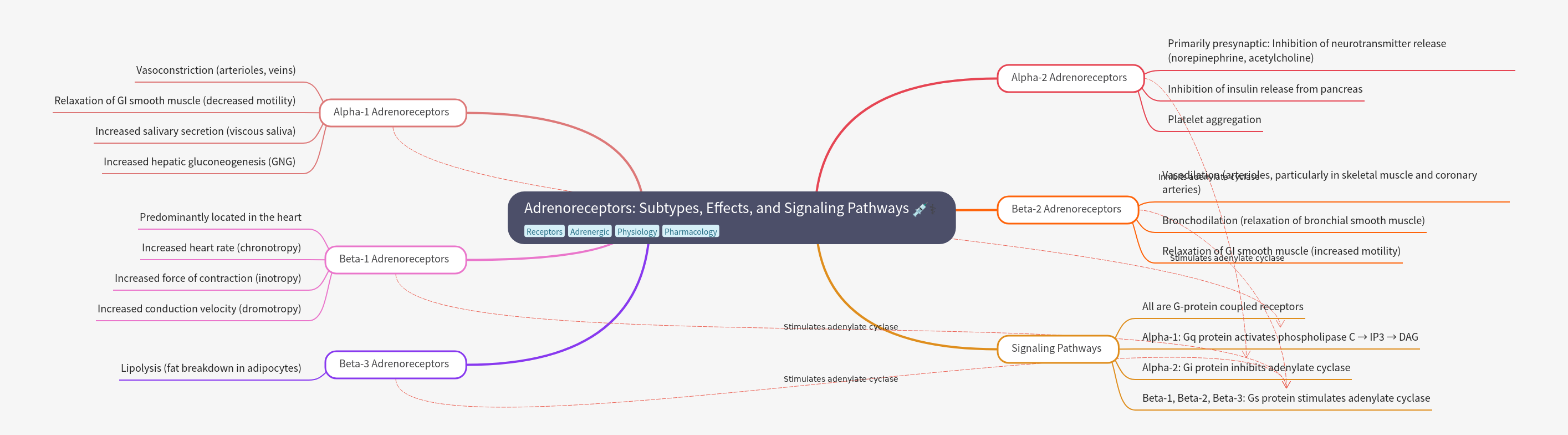Adrenoreceptors: Subtypes, Effects, & Signaling