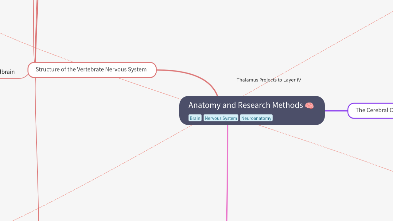 Anatomy and Research Methods