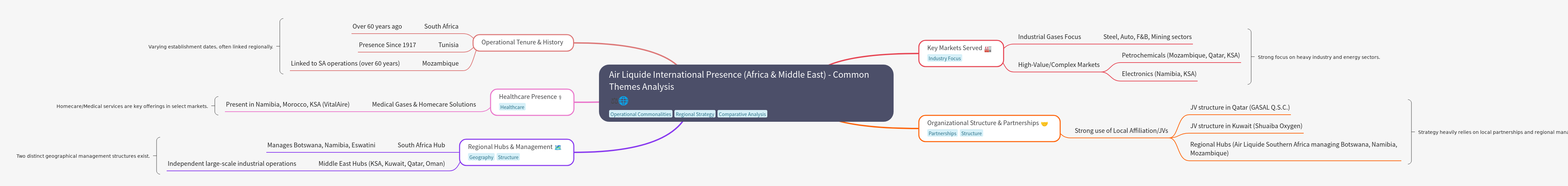 Air Liquide's Strategy in Africa and the Middle East