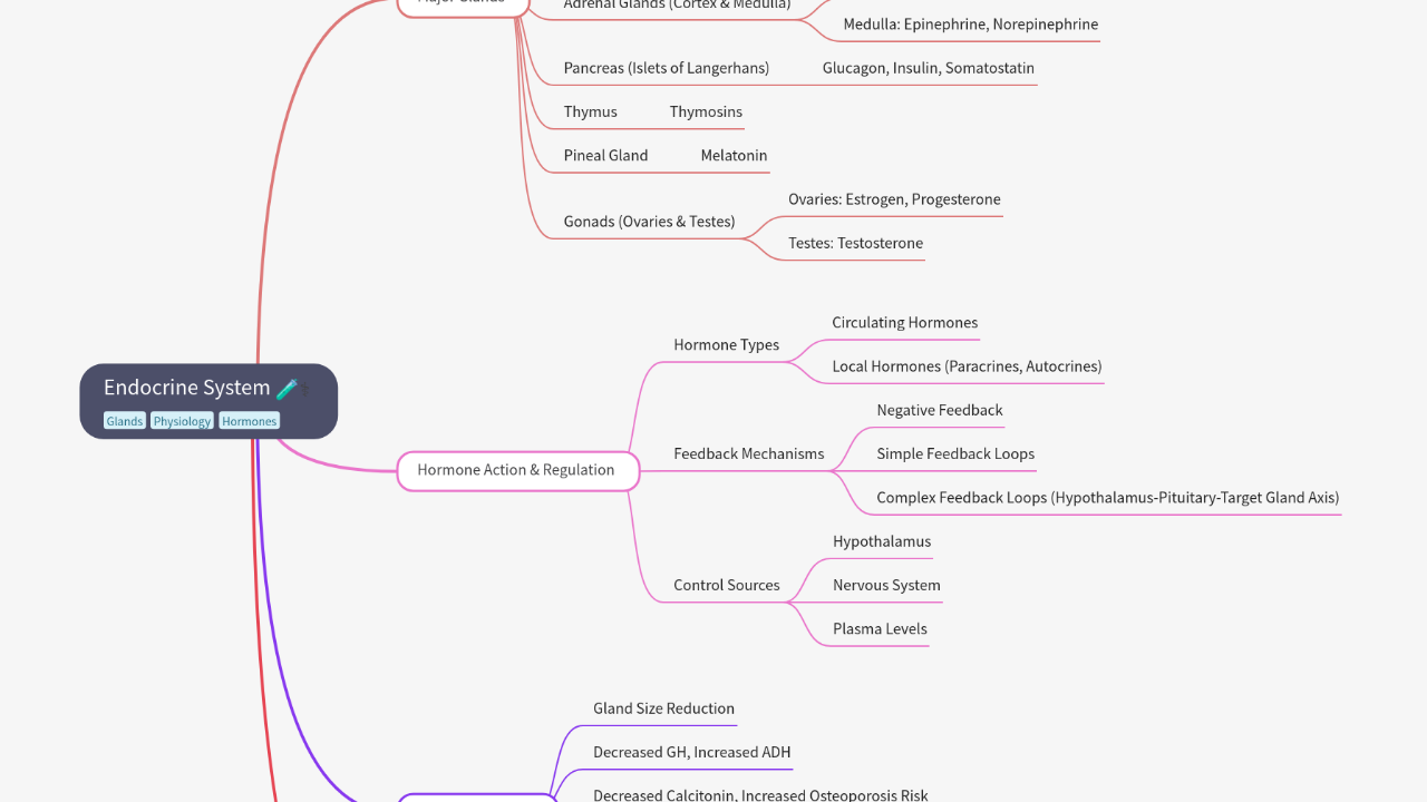 Mind Map:Endocrine System ...