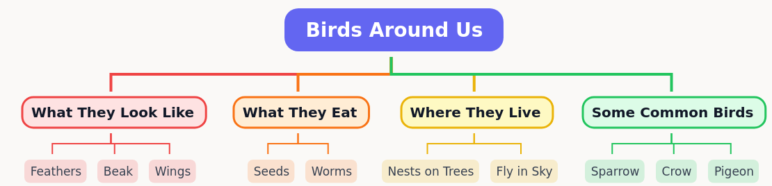 Exploring Birds Around Us: Characteristics, Diet, and Habitats