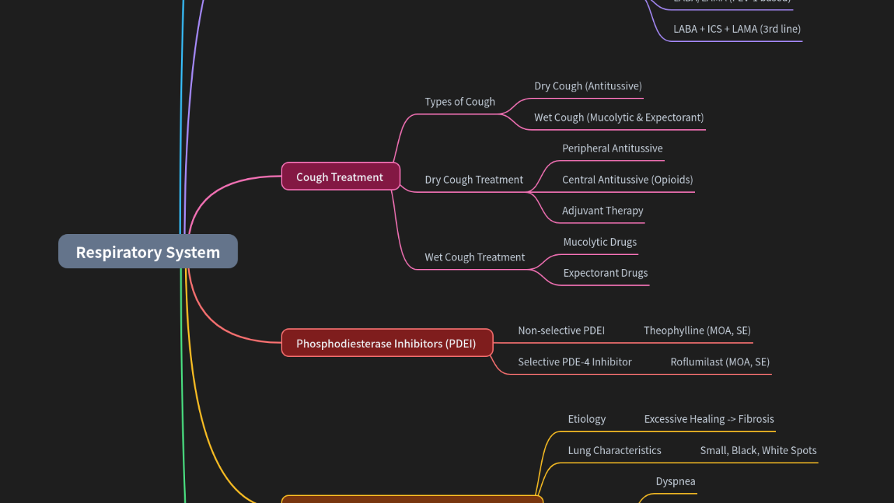 Mind Map:Respiratory System ...