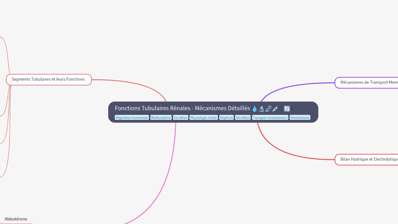 Mind Map:Fonctions Tubulaires Rénales - Mécanismes Détaillés ...