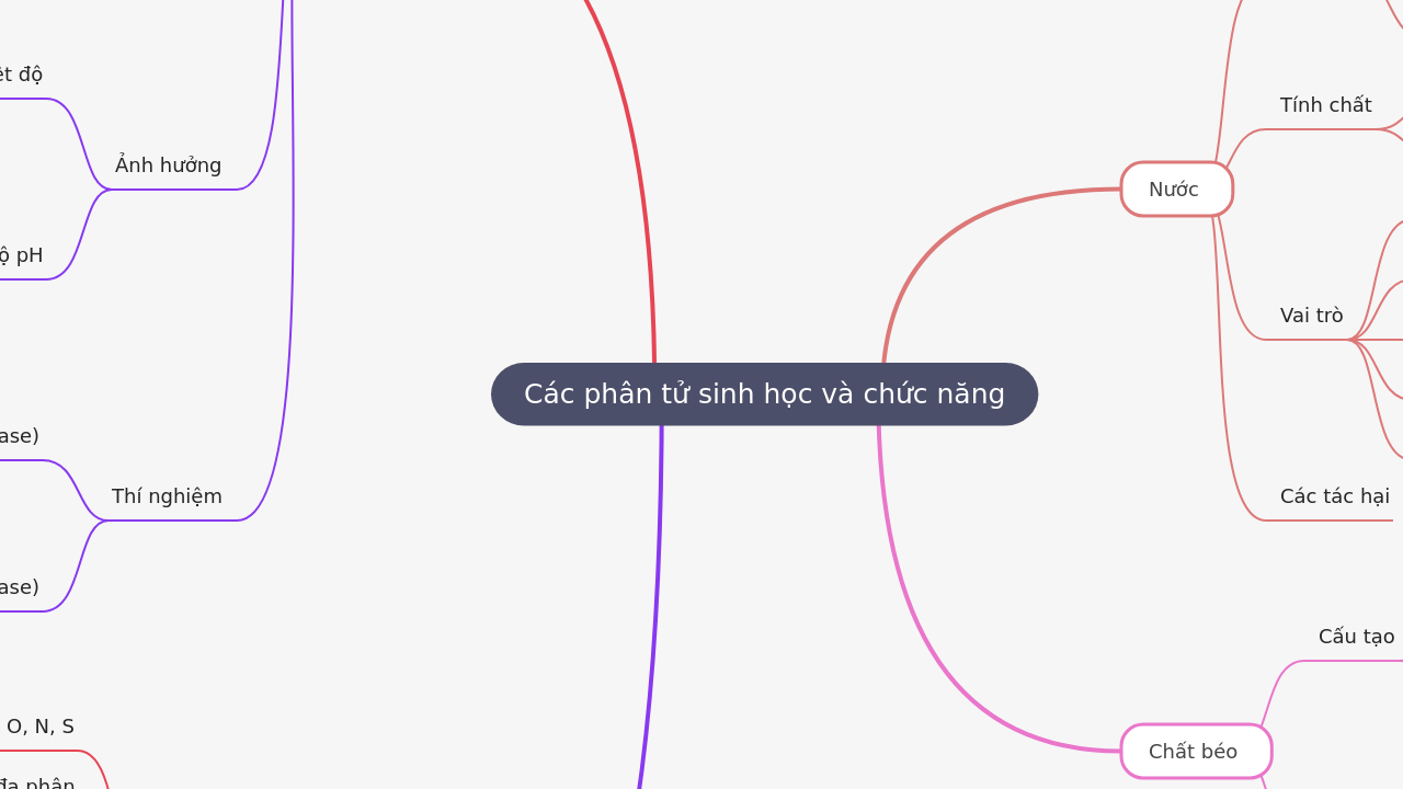 Mind Map:Các phân tử sinh học và chức năng ...