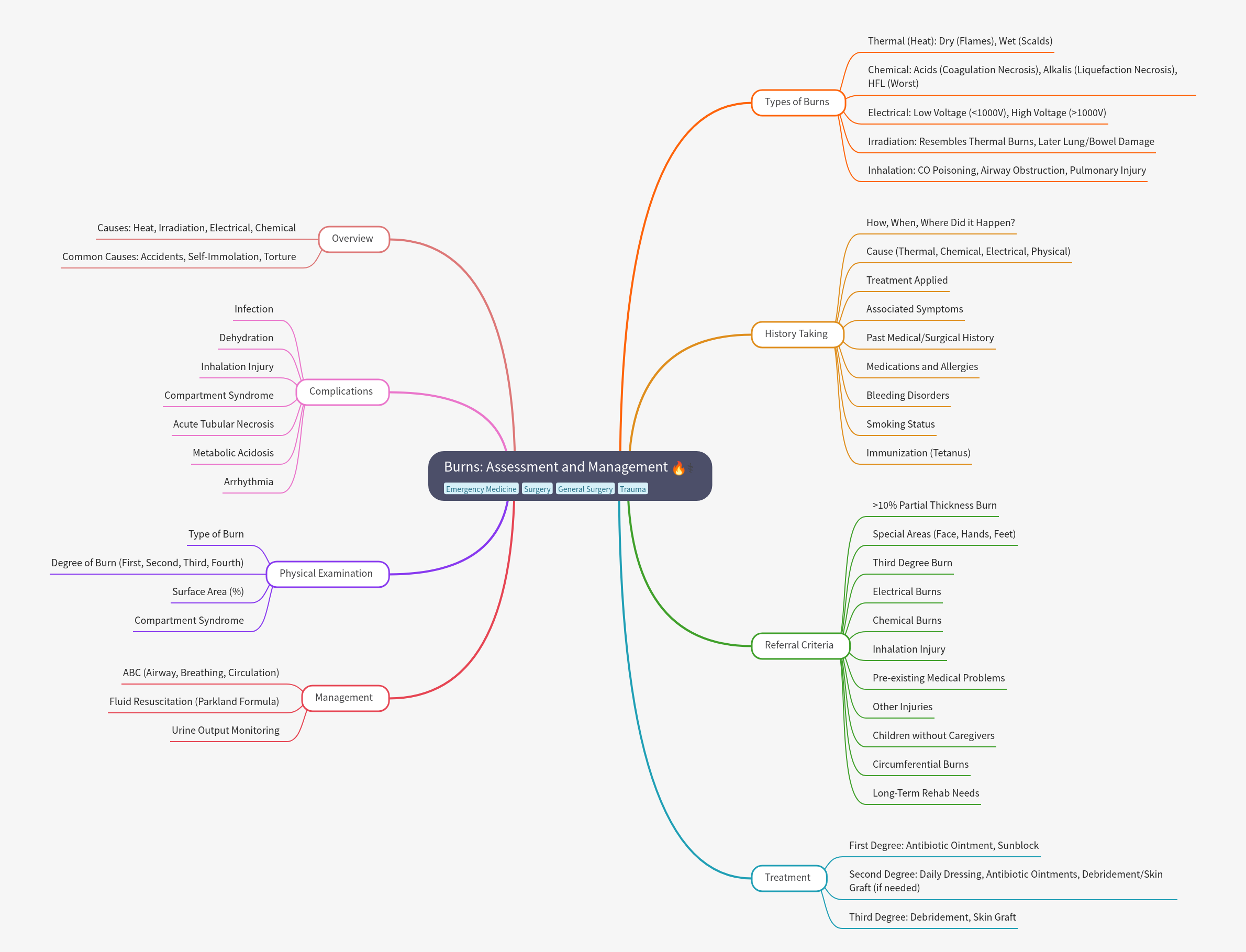 Burns: Assessment and Management Guide