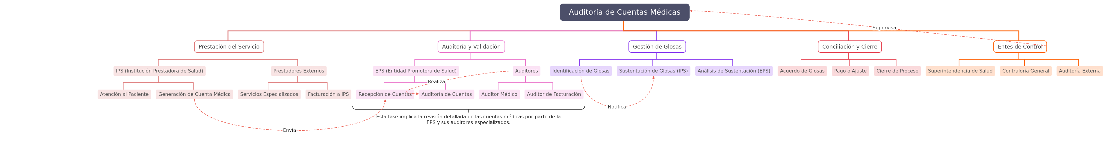 Medical Account Auditing Flow
