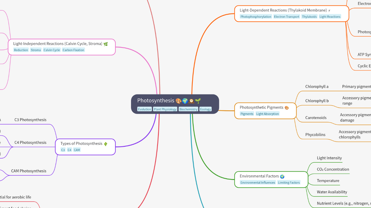 Mind Map:Photosynthesis ...
