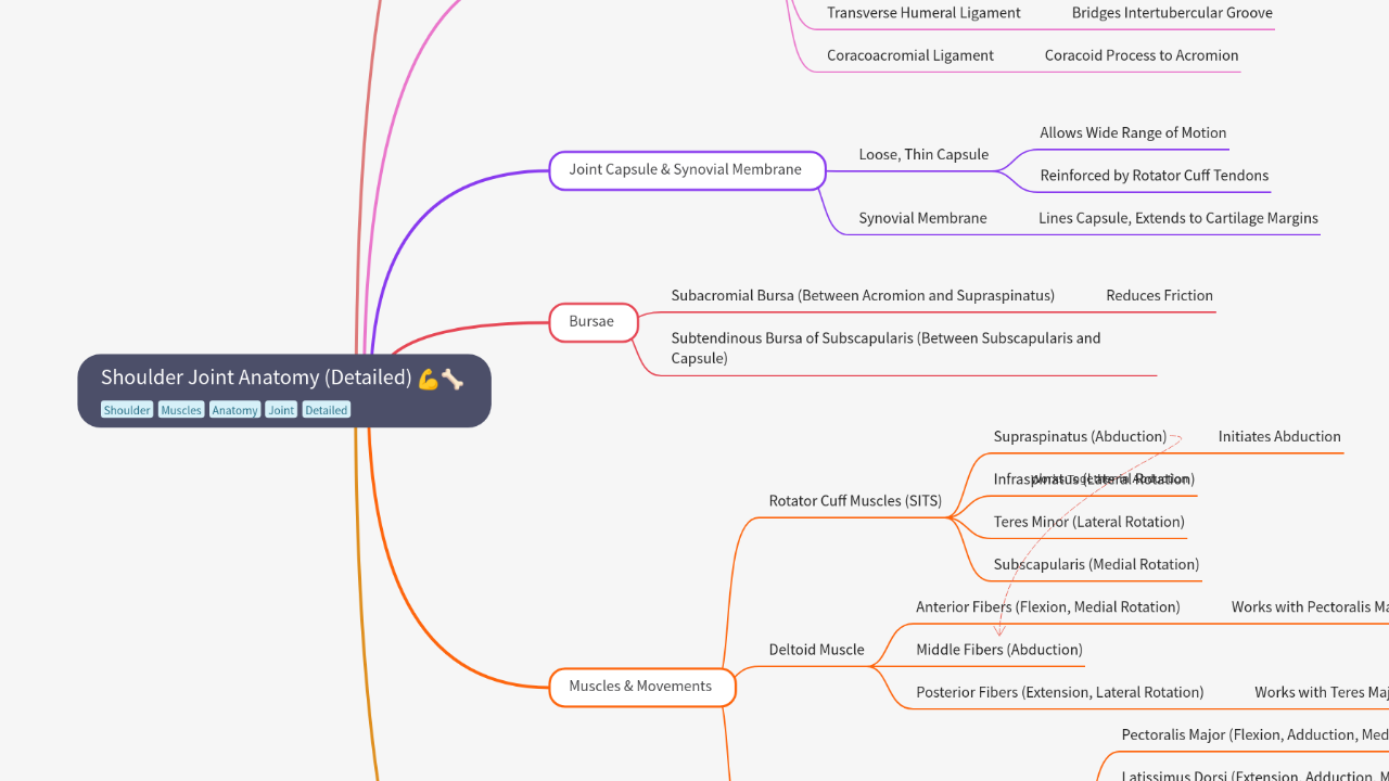 Mind Map:Shoulder Joint Anatomy (Detailed) ...