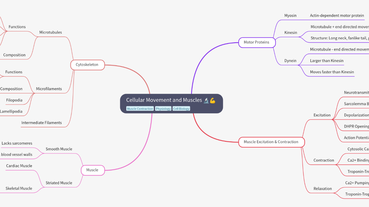 Mind Map:Cellular Movement and Muscles ...