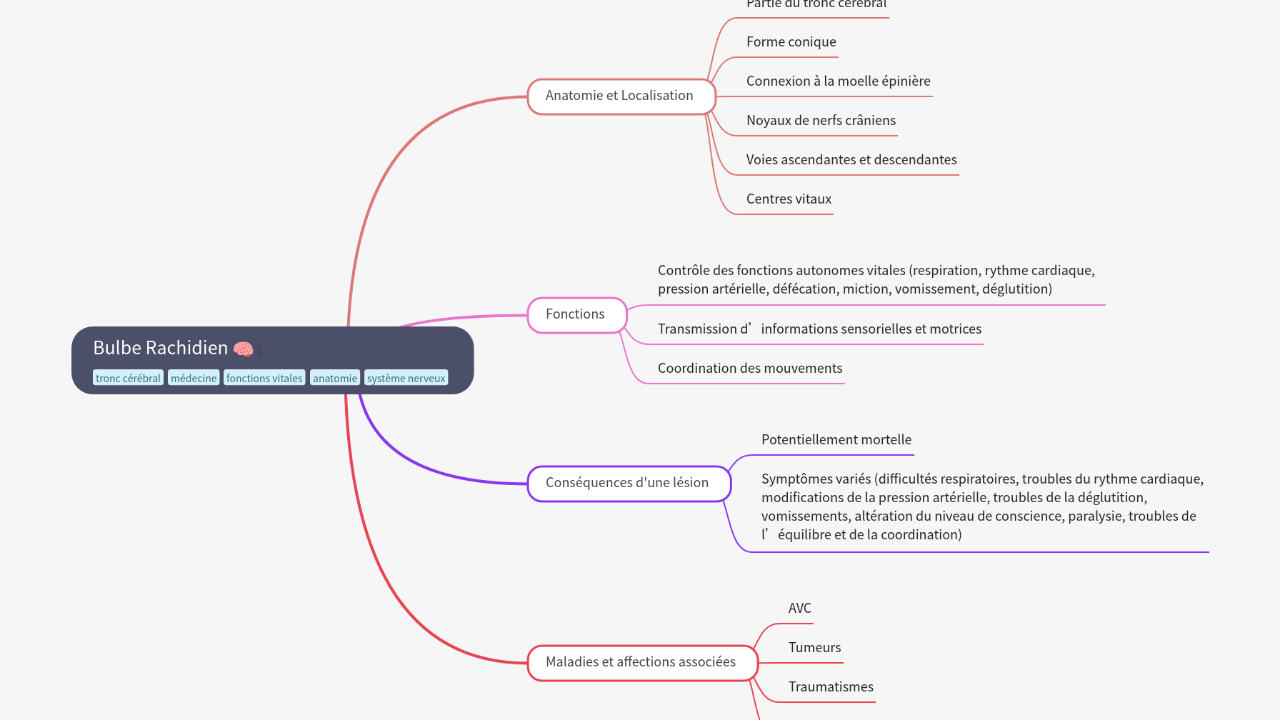 Mind Map:Bulbe Rachidien ...