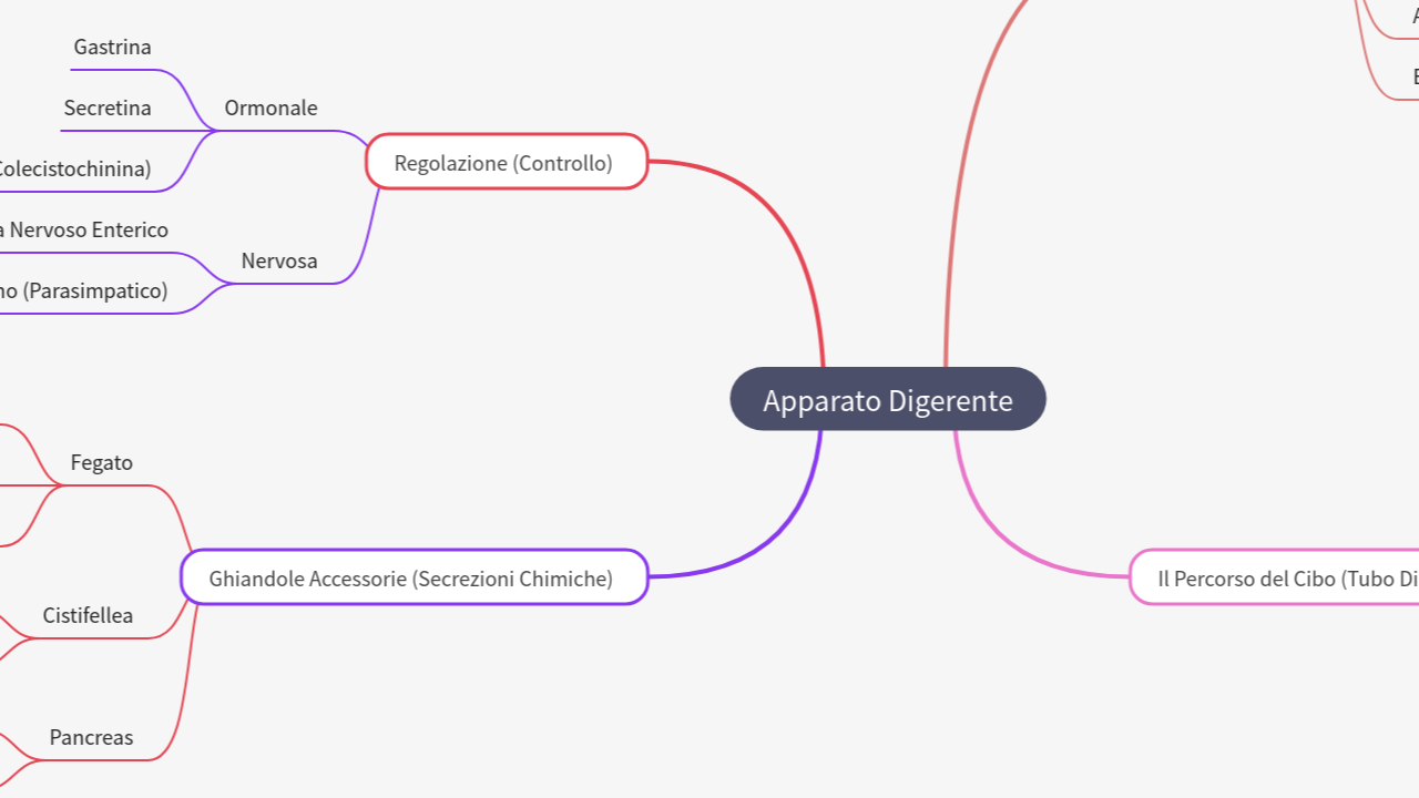 Mind Map:Apparato Digerente ...