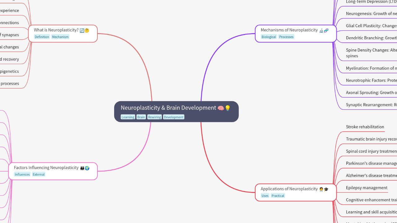 Mind Map:Neuroplasticity & Brain Development ...