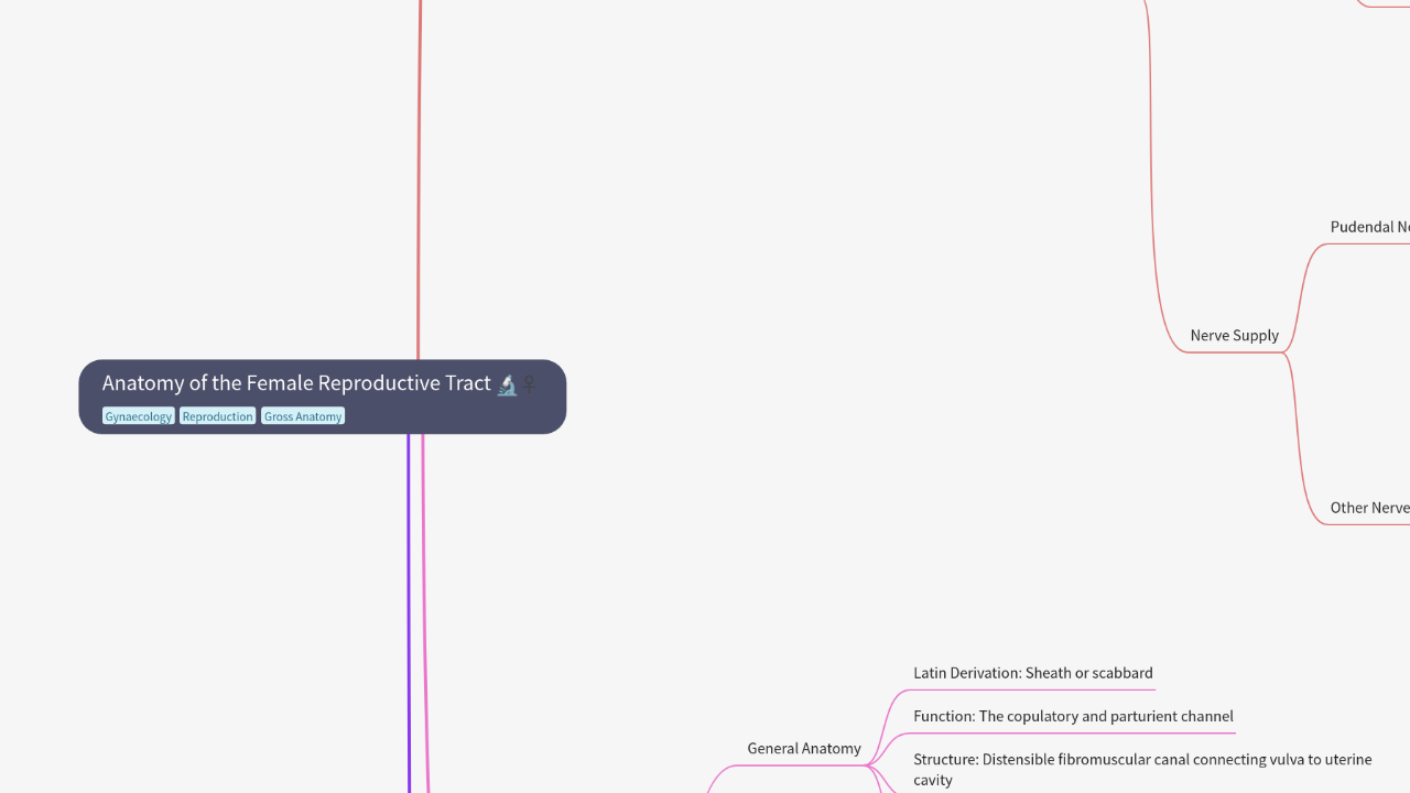 Mind Map:Anatomy of the Female Reproductive Tract ...