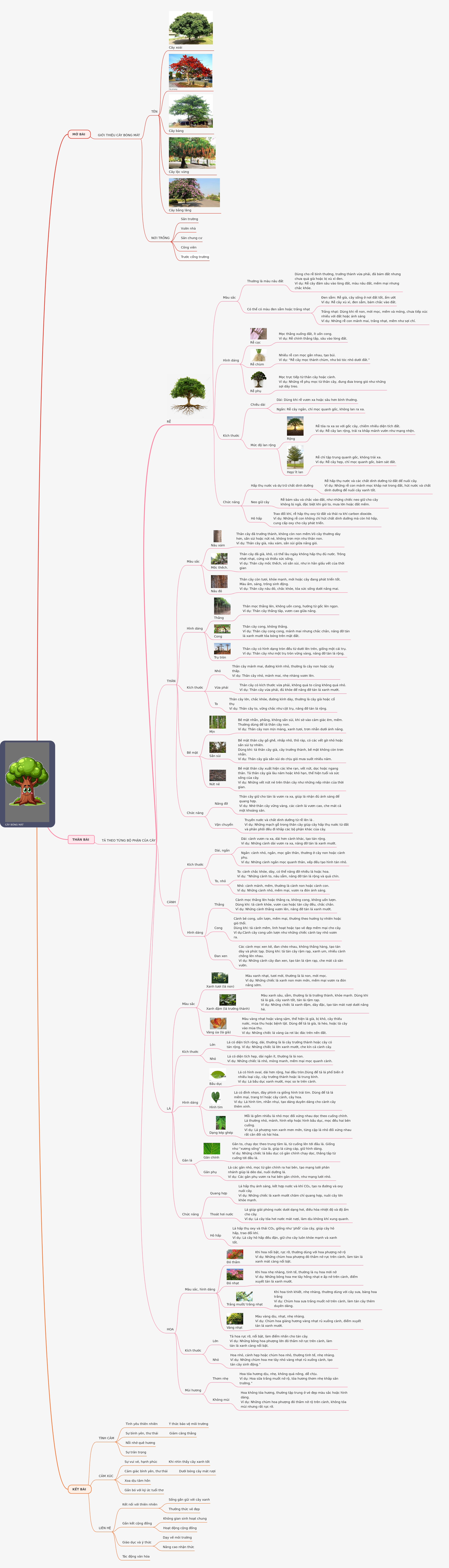 Describing Shade Trees: A Comprehensive Guide