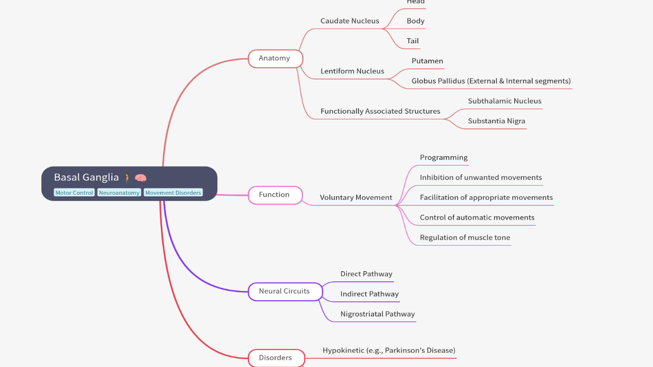 Mind Map:Basal Ganglia ...