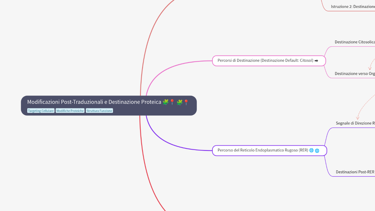 Mind Map:Modificazioni Post-Traduzionali e Destinazione Proteica 🧩📍 ...
