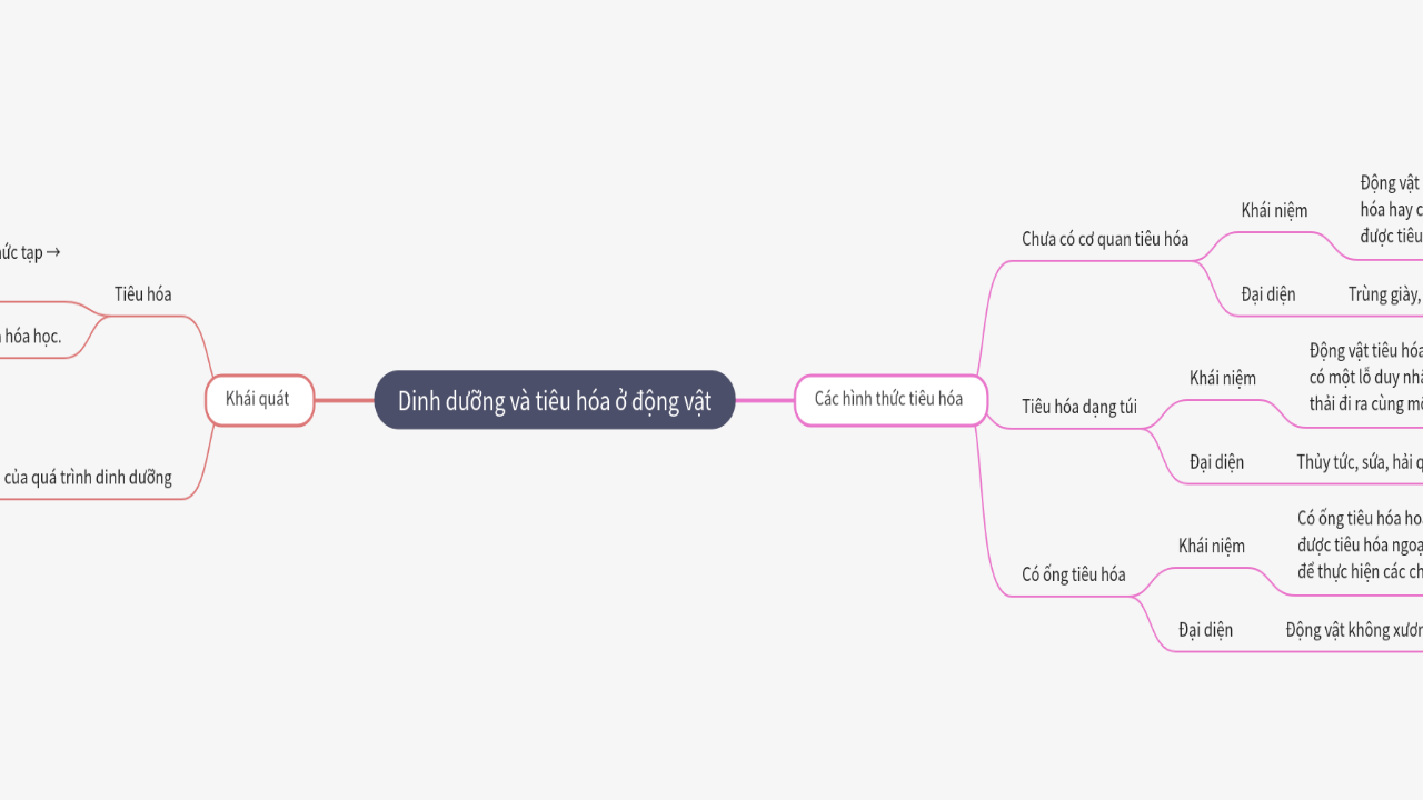 Mind Map:Dinh dưỡng và tiêu hóa ở động vật ...