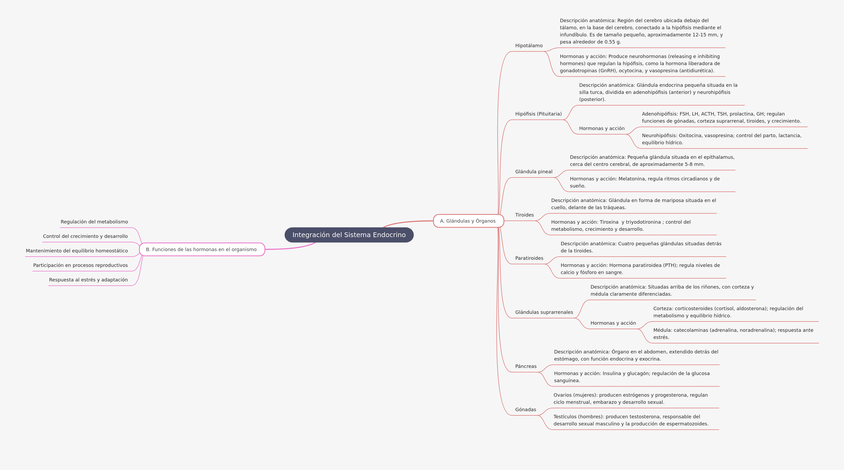 Endocrine System Integration: Glands, Hormones & Functions