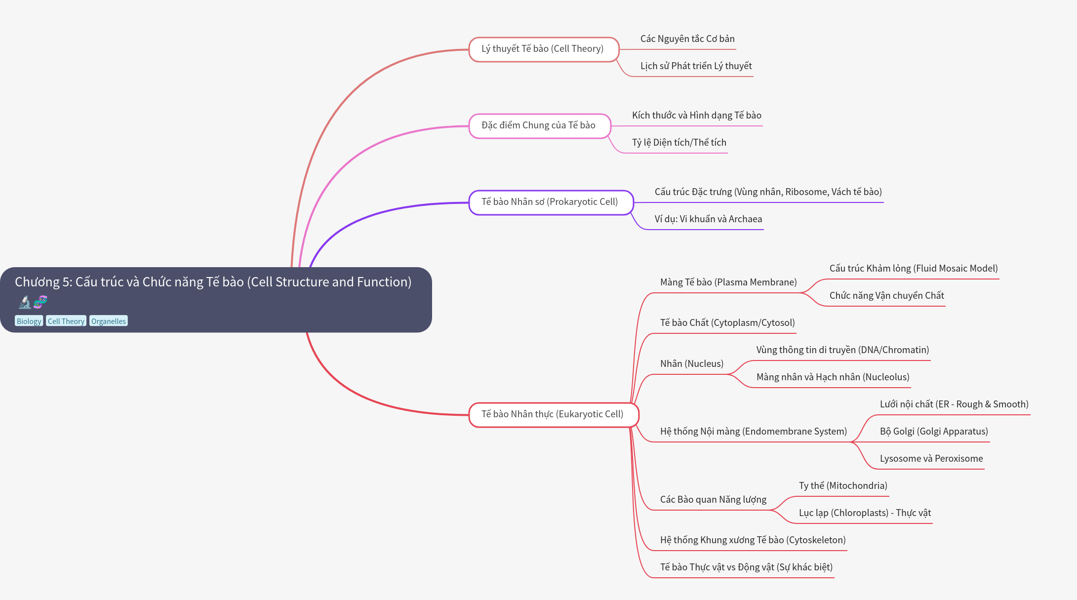 Cell Structure and Function: A Comprehensive Guide
