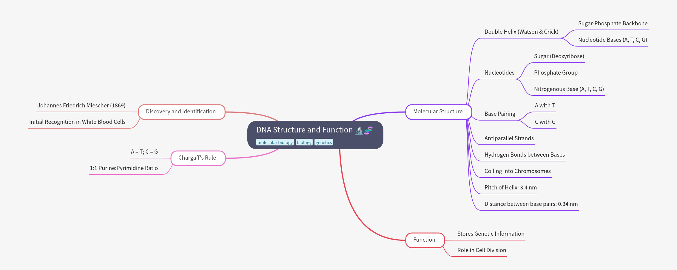 DNA Structure and Function Explained