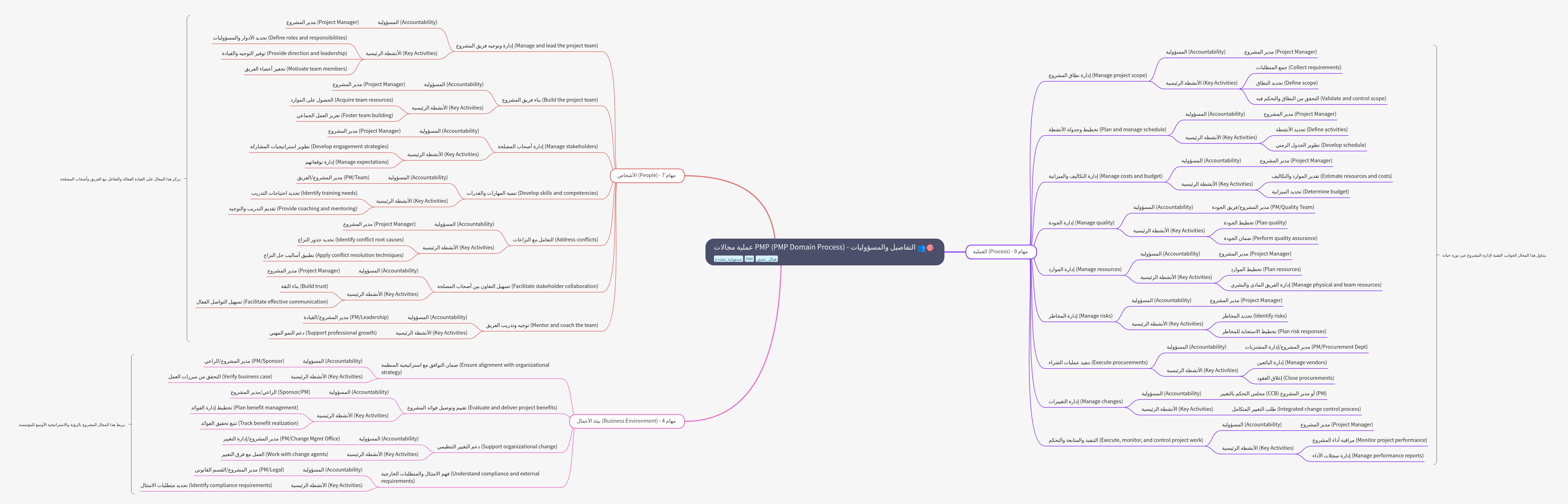 PMP Domain Process: Details and Responsibilities