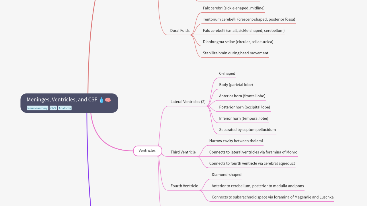 Mind Map:Meninges, Ventricles, and CSF ...