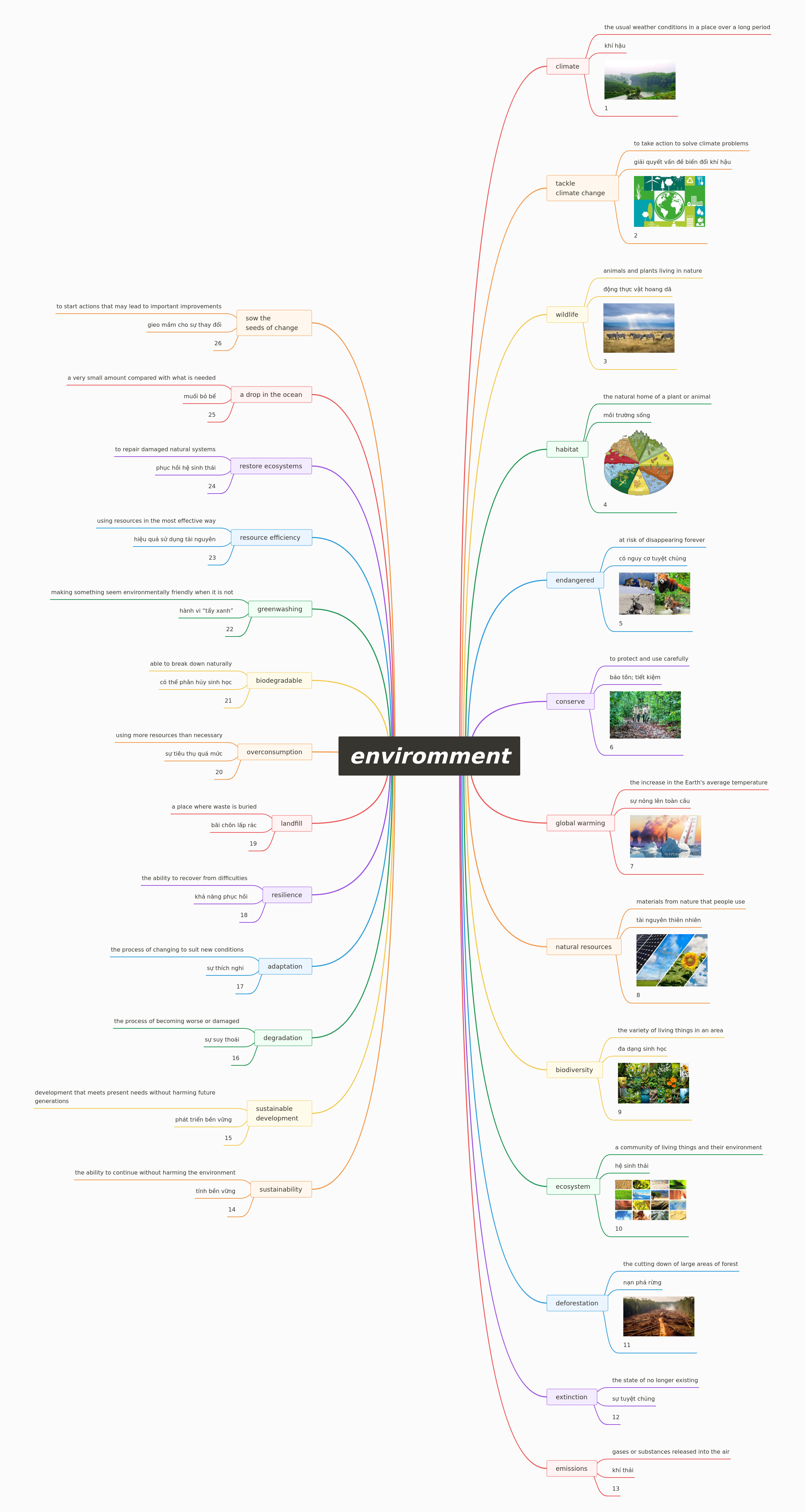 Understanding Key Environmental Concepts