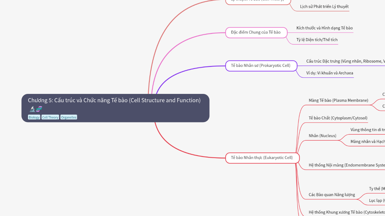 Mind Map:Chương 5: Cấu trúc và Chức năng Tế bào (Cell Structure and Function) ...