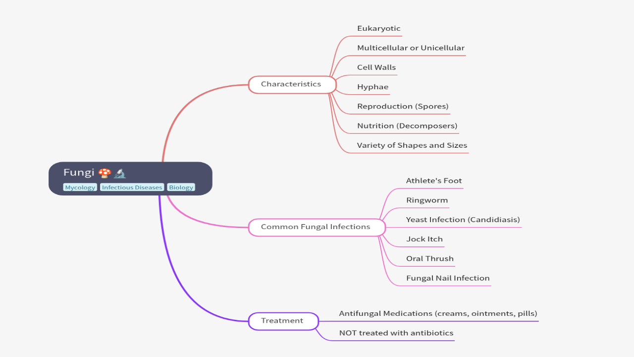 Mind Map:Fungi ...